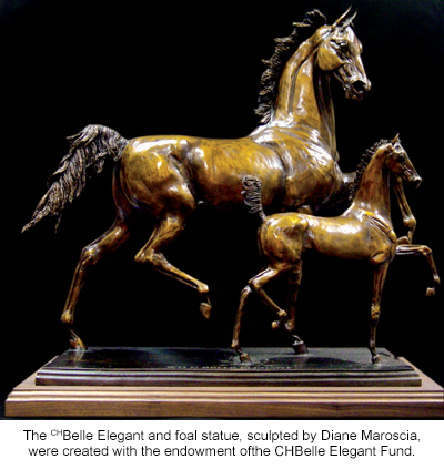 CH Belle Elegant Fund