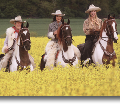 Charter Club Non Competing