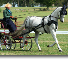 Charter Club Competing
