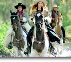 Senior Non-Competing