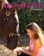 Junior Junction 2015