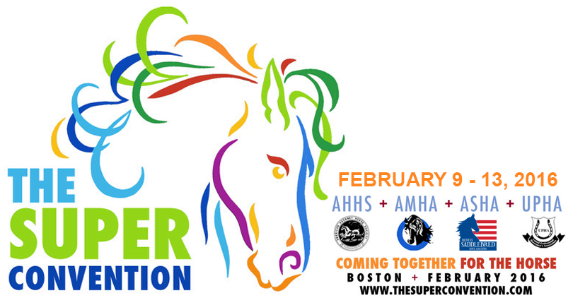 Super Convention 2016