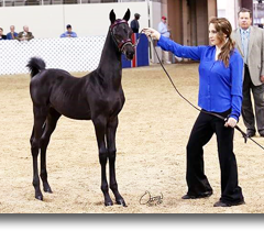 From Russia With Luv!